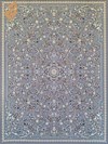 پروا - فیلی